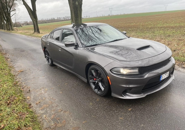 Dodge Charger cena 115500 przebieg: 118000, rok produkcji 2019 z Mieszkowice małe 326